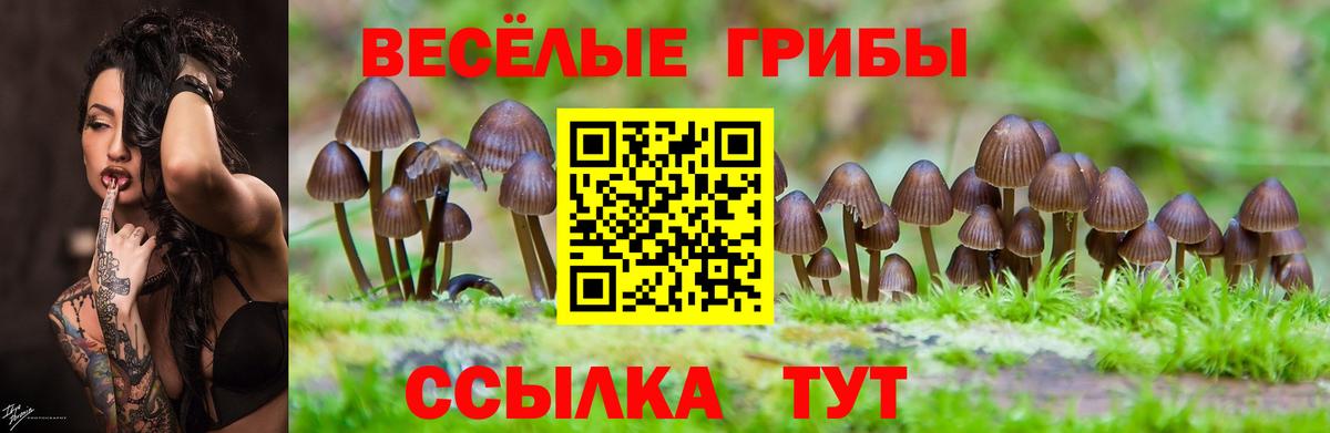 Псилоцибиновые грибы MAGIC MUSHROOMS Алапаевск